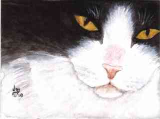 Shadow's First ACEO