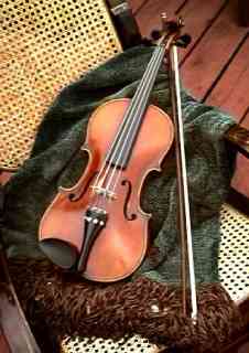 Violin Top